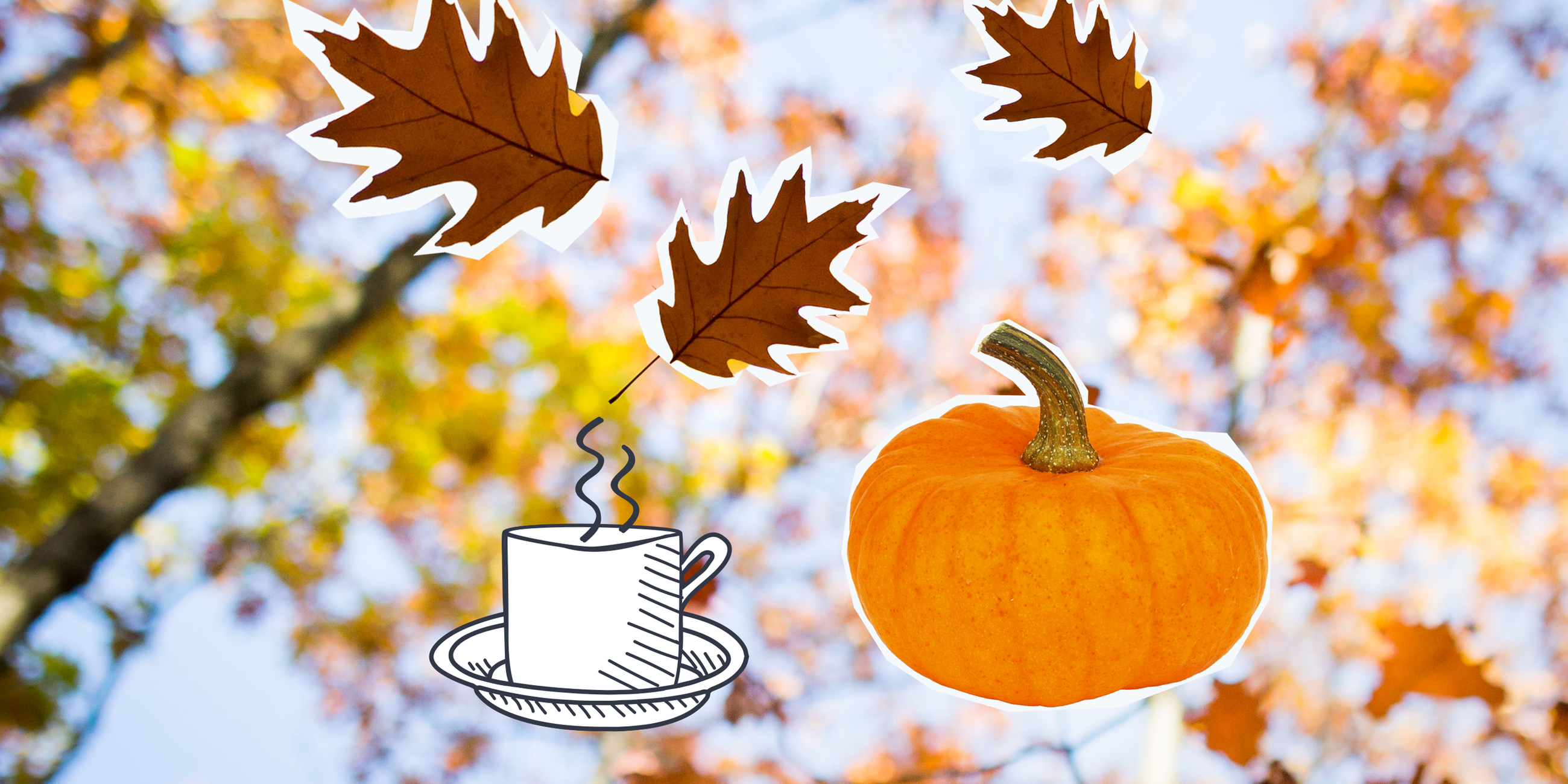 fallendes Laub, Kürbis und dampfende Teetasse 