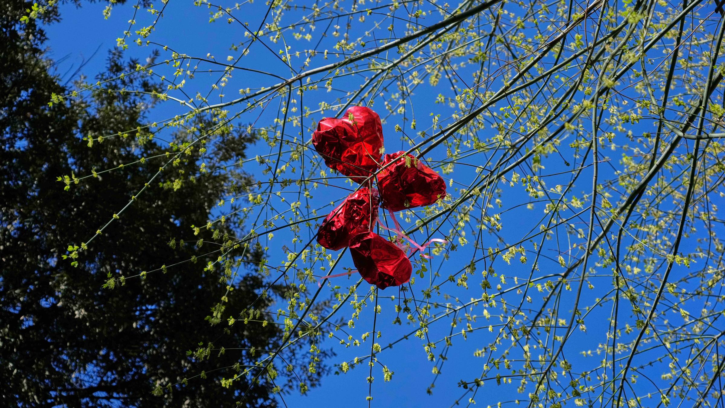 In Rom hängen Herz Luftballons in einem Baum