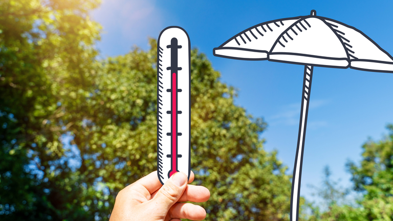 Hitze-Sommer