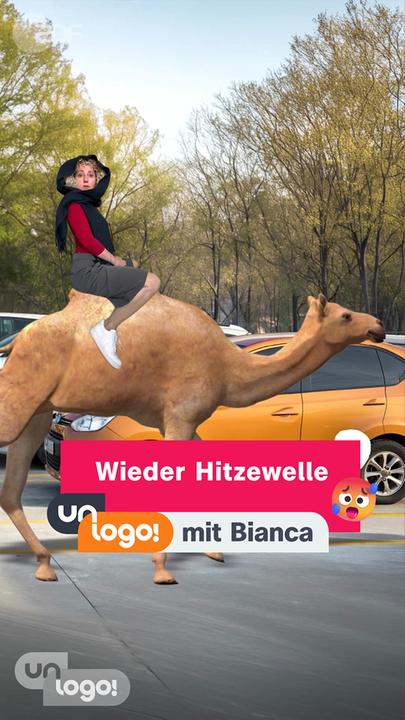 Host Bianca auf einem Kamel 