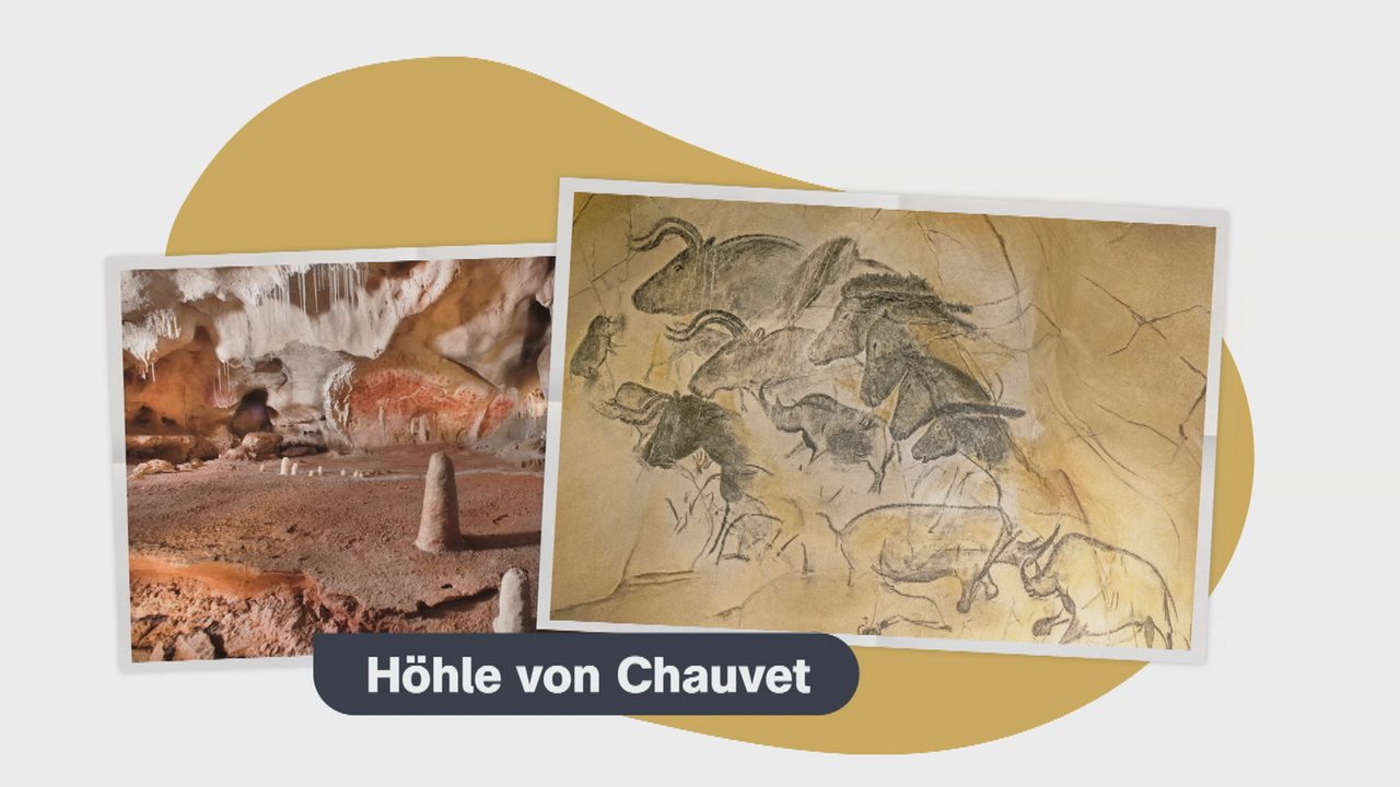 Bild für Höhle mit gefährlichen Tieren