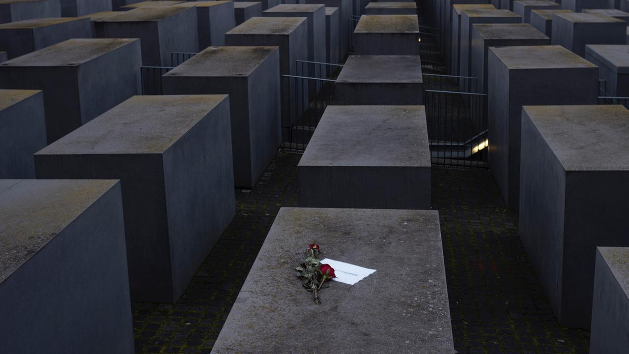 Blume auf dem Holocaust-Mahnmal in Berlin