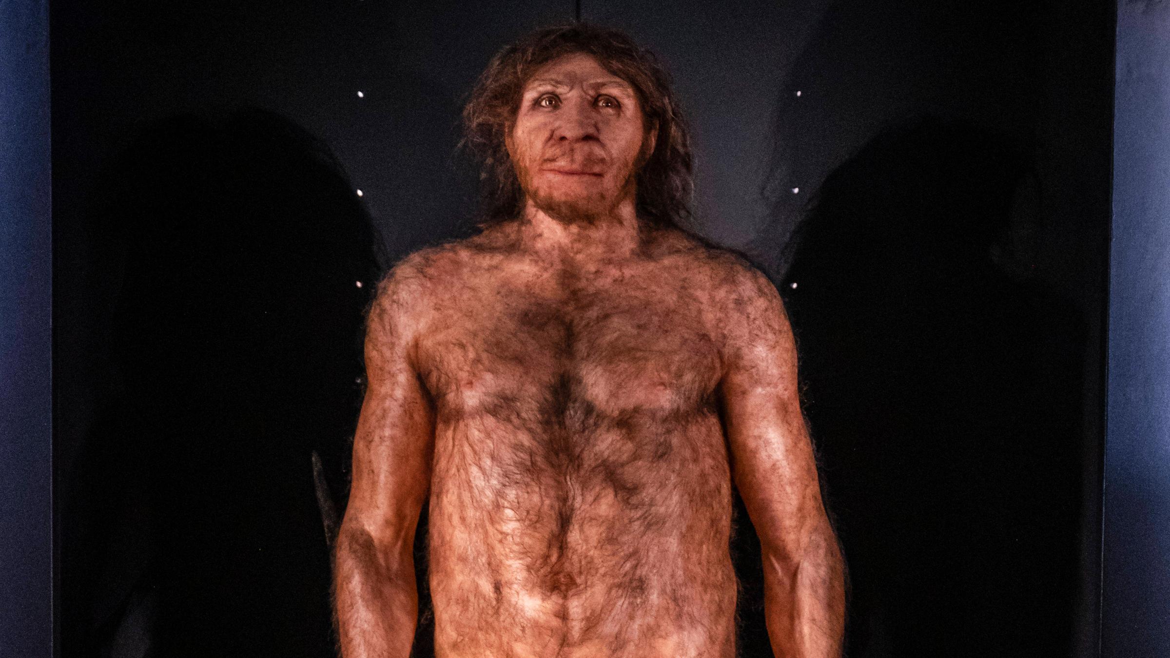 Homo Heidelbergensis
