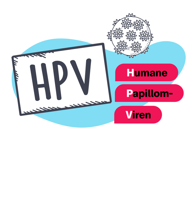 Grafik HPV