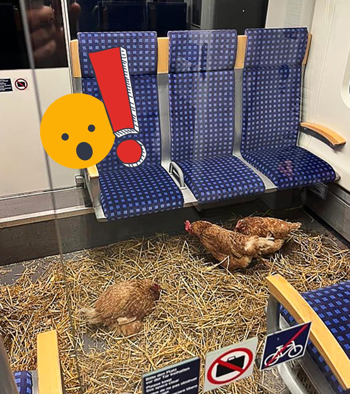 Hühnerstall oder S-Bahn?