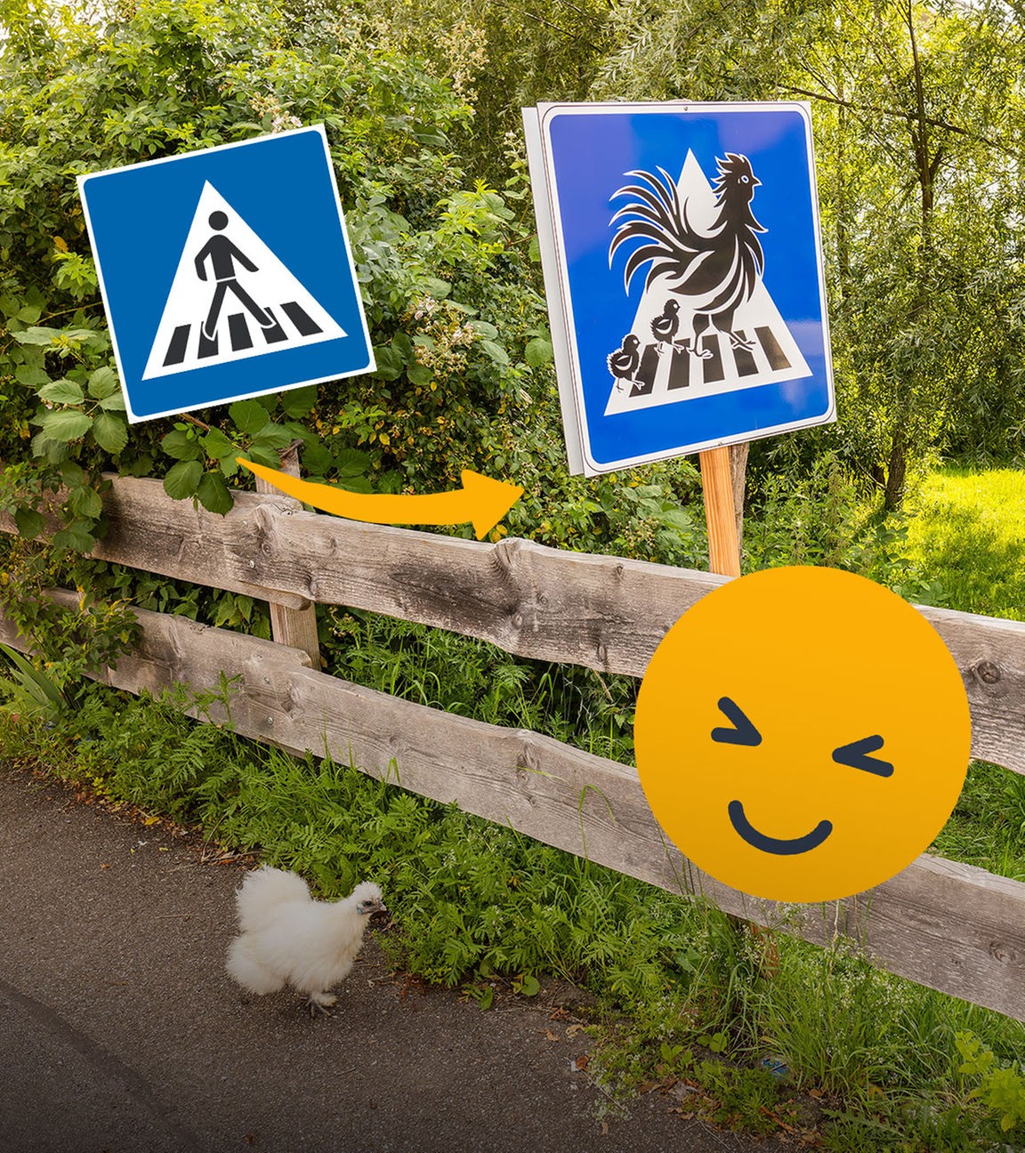 Verkehrsschild für Hühner