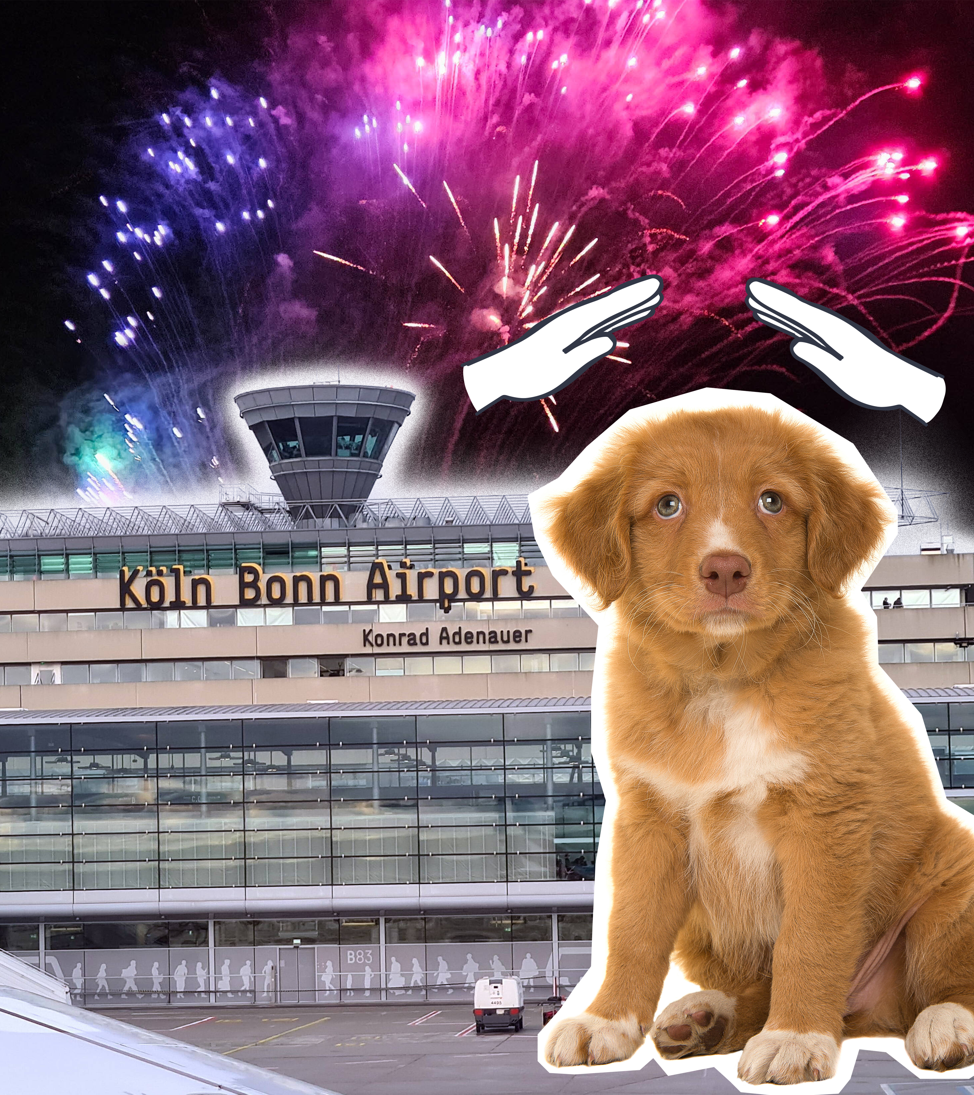 Hunde Flughafen Silvester