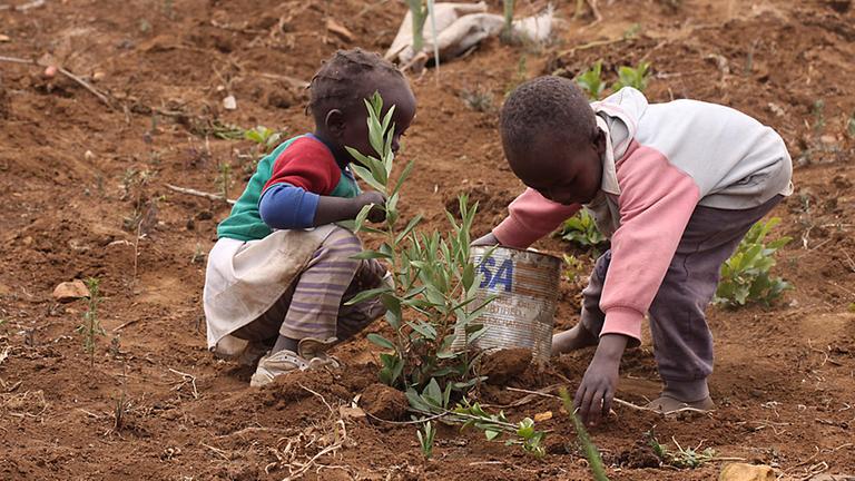 Kinder in Kenia sammeln nach der Ernte übrig gebliebene Kartoffeln.