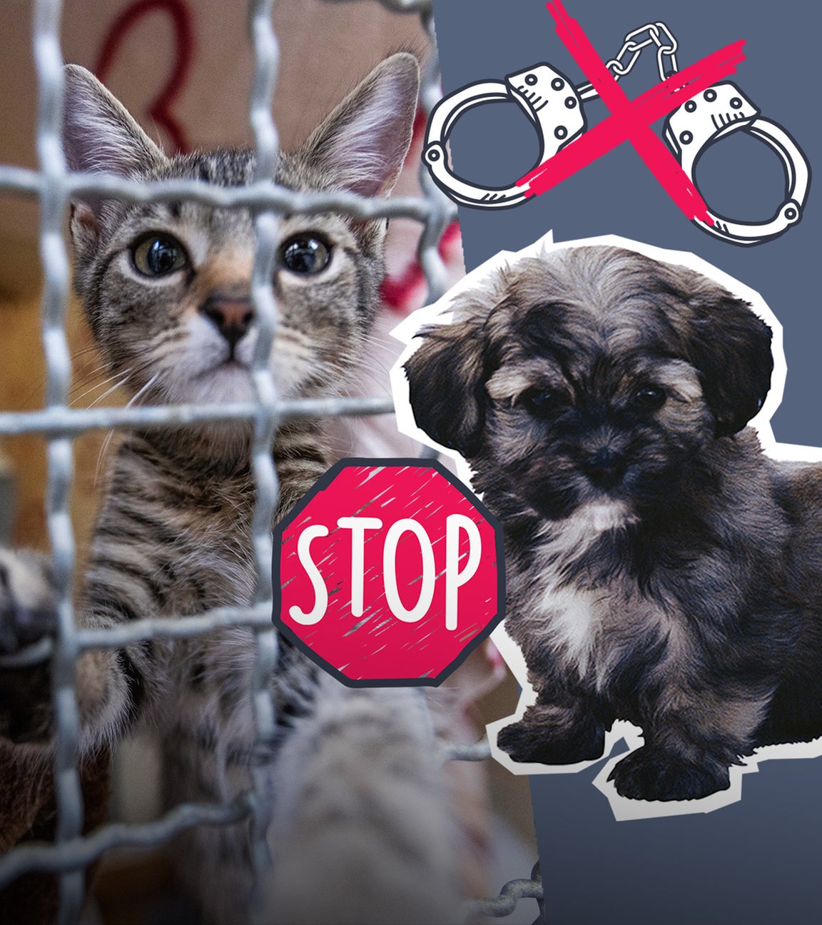 Eine Katze in einem Käfig und ein Welpe; Handschelle, die durchgestrichen sind, und ein Stopp-Schild