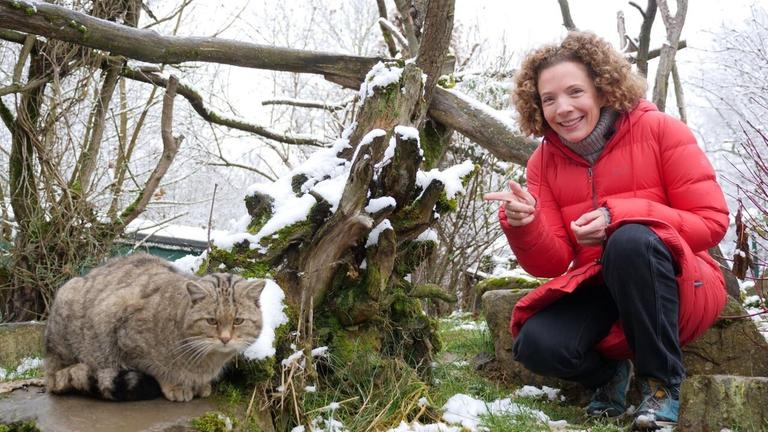 Wildkatzen - Gesa auf den Spuren der unsichtbaren Jäger