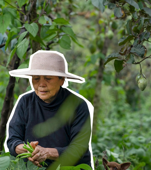 Indigene Landwirtschaft gegen den Klimawandel?