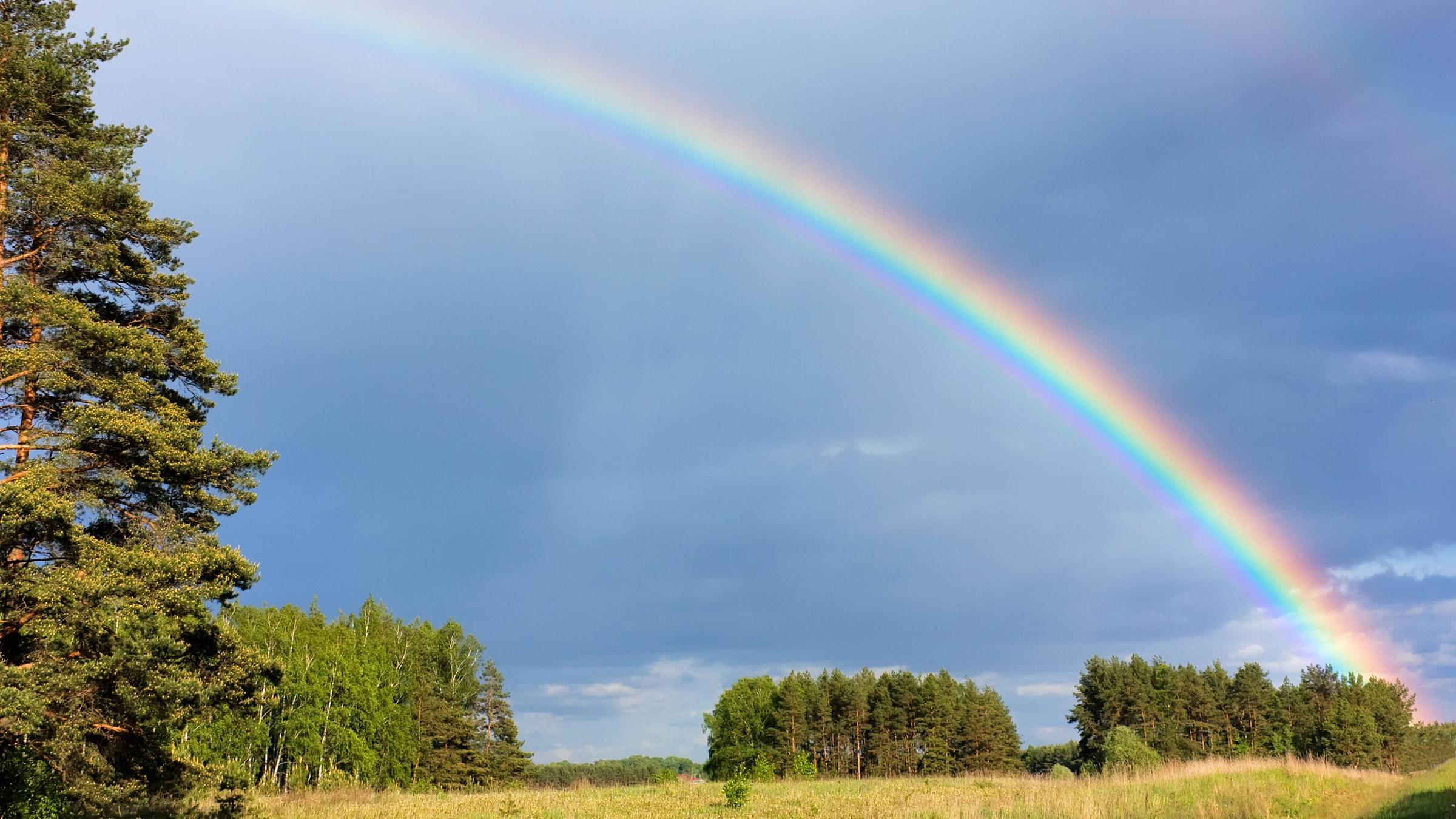 jeder Mensch sieht seinen eigenen Regenbogen