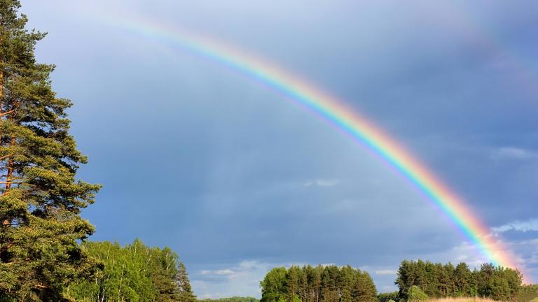 jeder Mensch sieht seinen eigenen Regenbogen