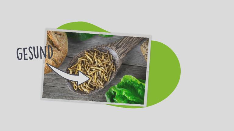 Mehlwürmer auf Teller als leckere Mahlzeit