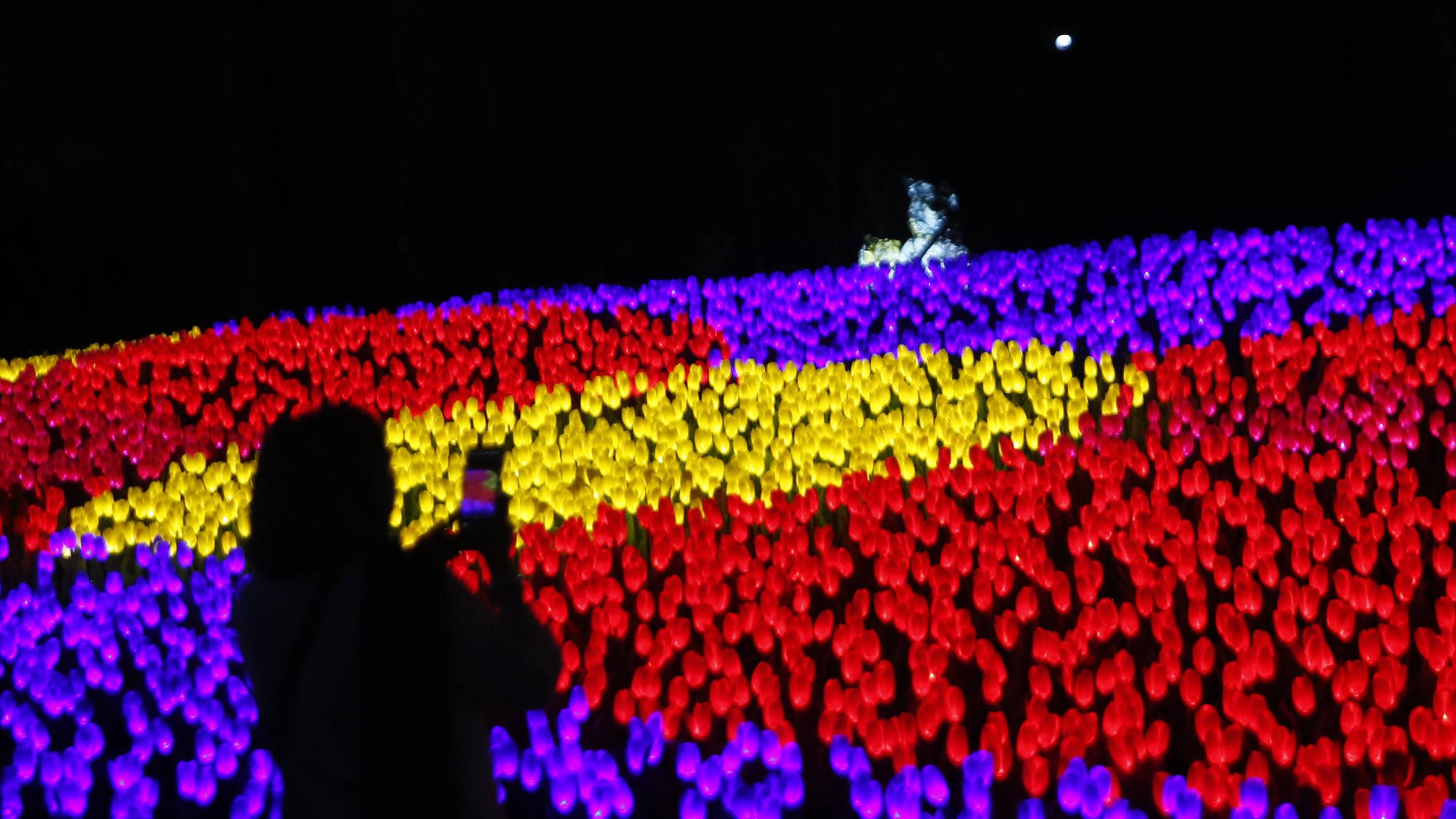 Eine Frau macht ein Foto von einer großen Blumenwiese aus bunten Lichtern
