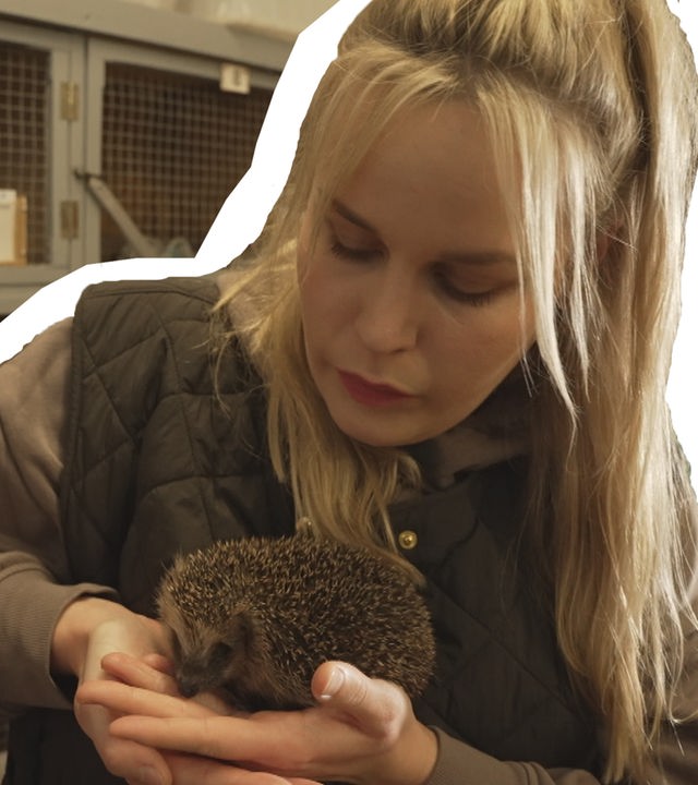 Igel vorm verhungern retten!