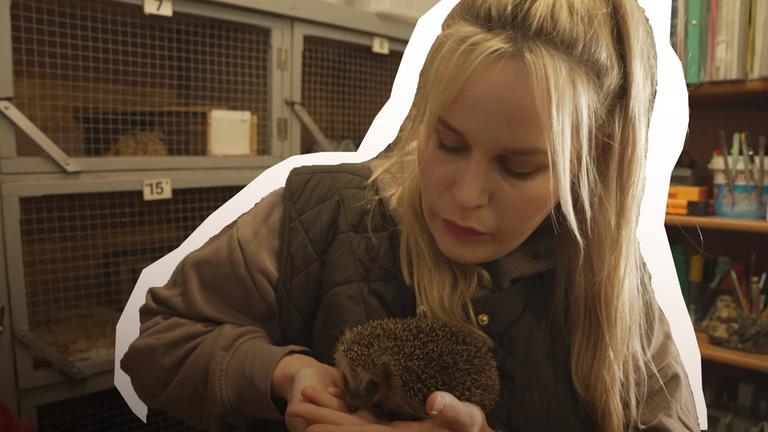 Igel vorm verhungern retten!