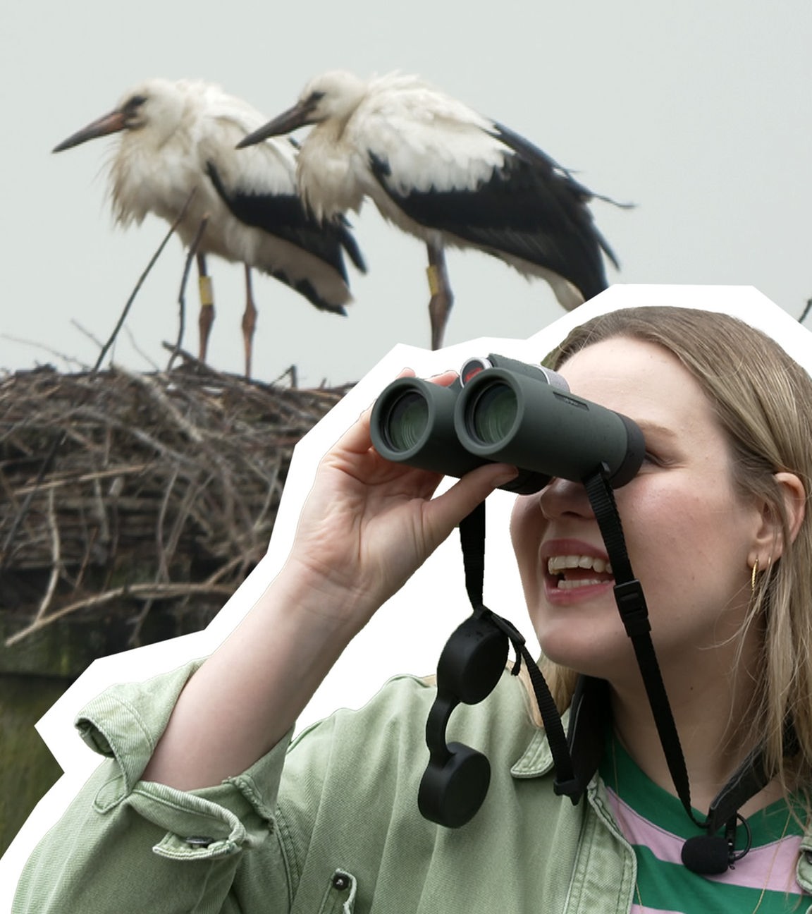 Eine Frau schaut durch ein Fernglas und beobachtet Störche auf einem Dach in ihrem Nest, der Himmel ist grau.