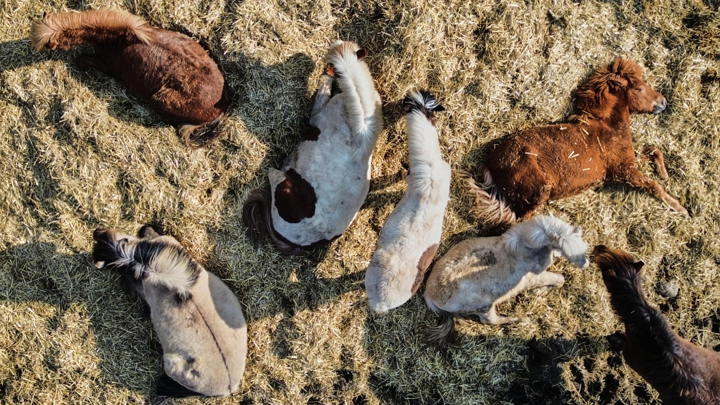 Island Perfde liegen in der Nähe von Frankfurt in der Sonne