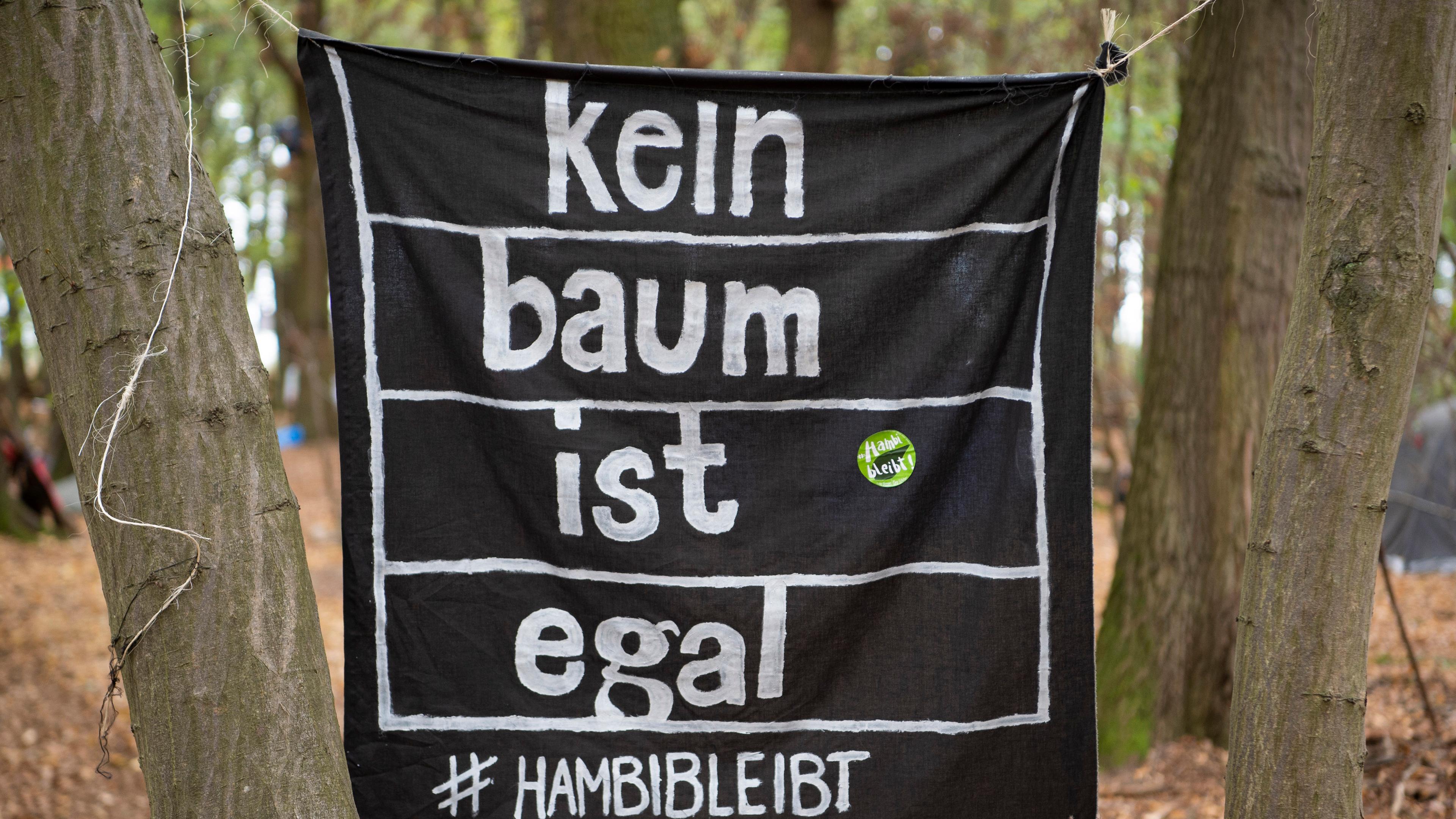 hambacher forst