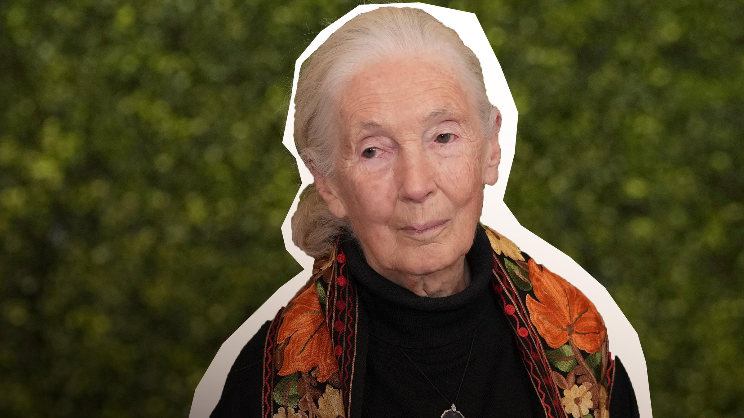 Jane Goodall