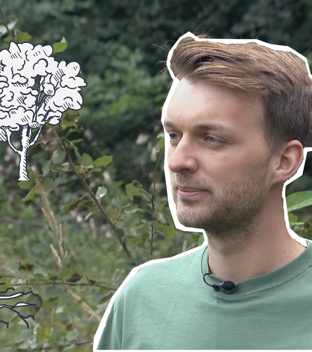 Johannes im Wald 