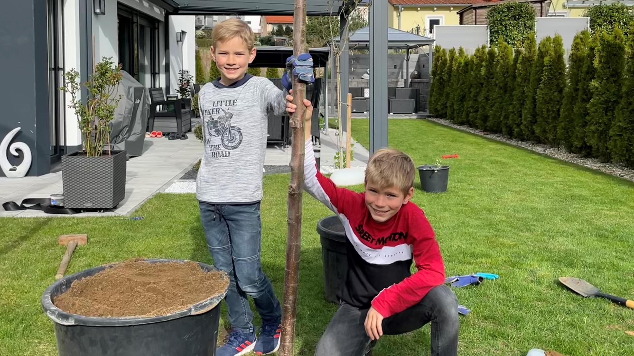 Jan und Dominik pflanzen einen Kirschbaum