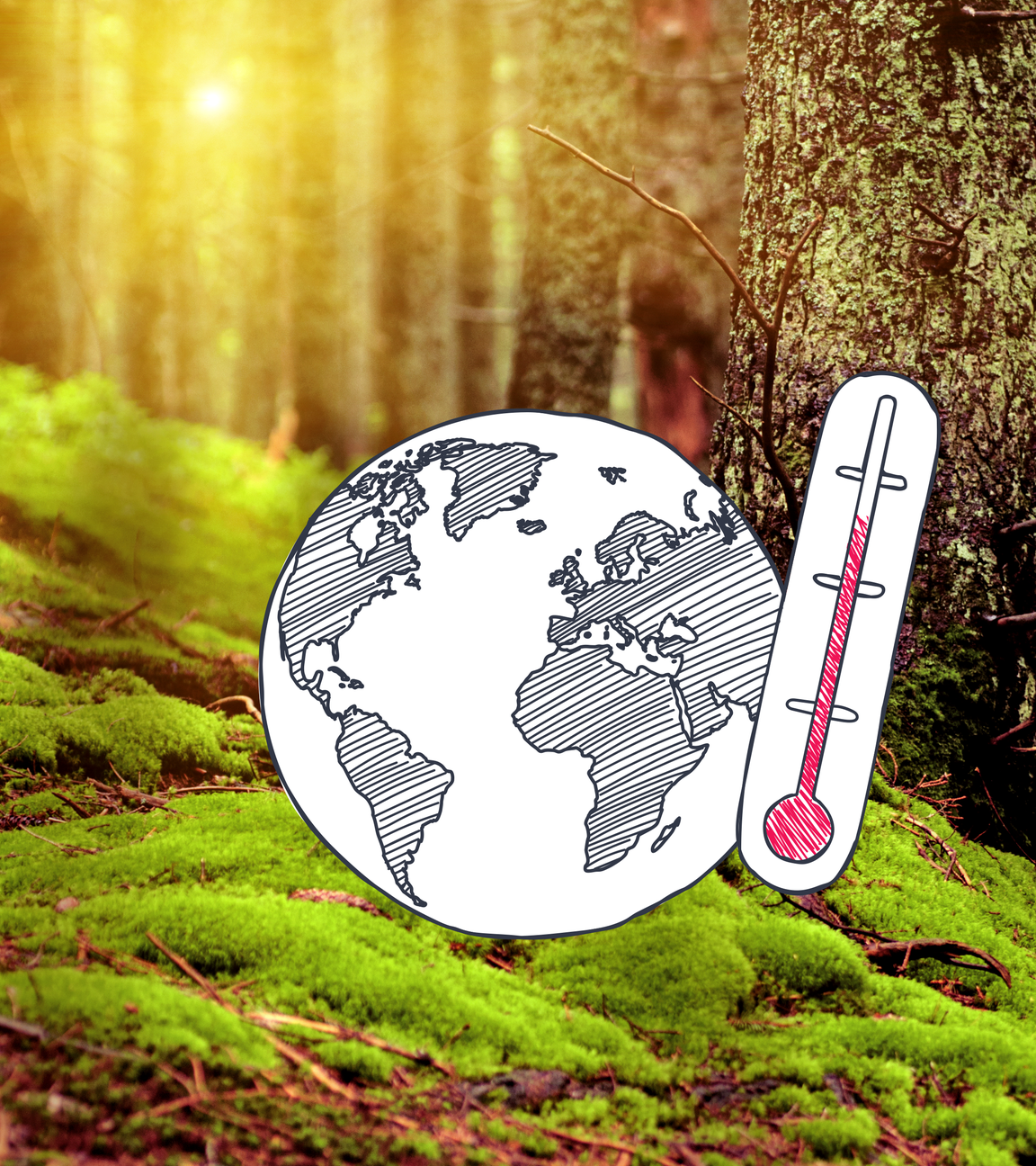 Im Hintrgrund ist ein Wald zu sehen, die Sonne scheint durch die Bäume. Im Vordergrund eine grafische Darstellung eines Globus und eines Thermometers. 
