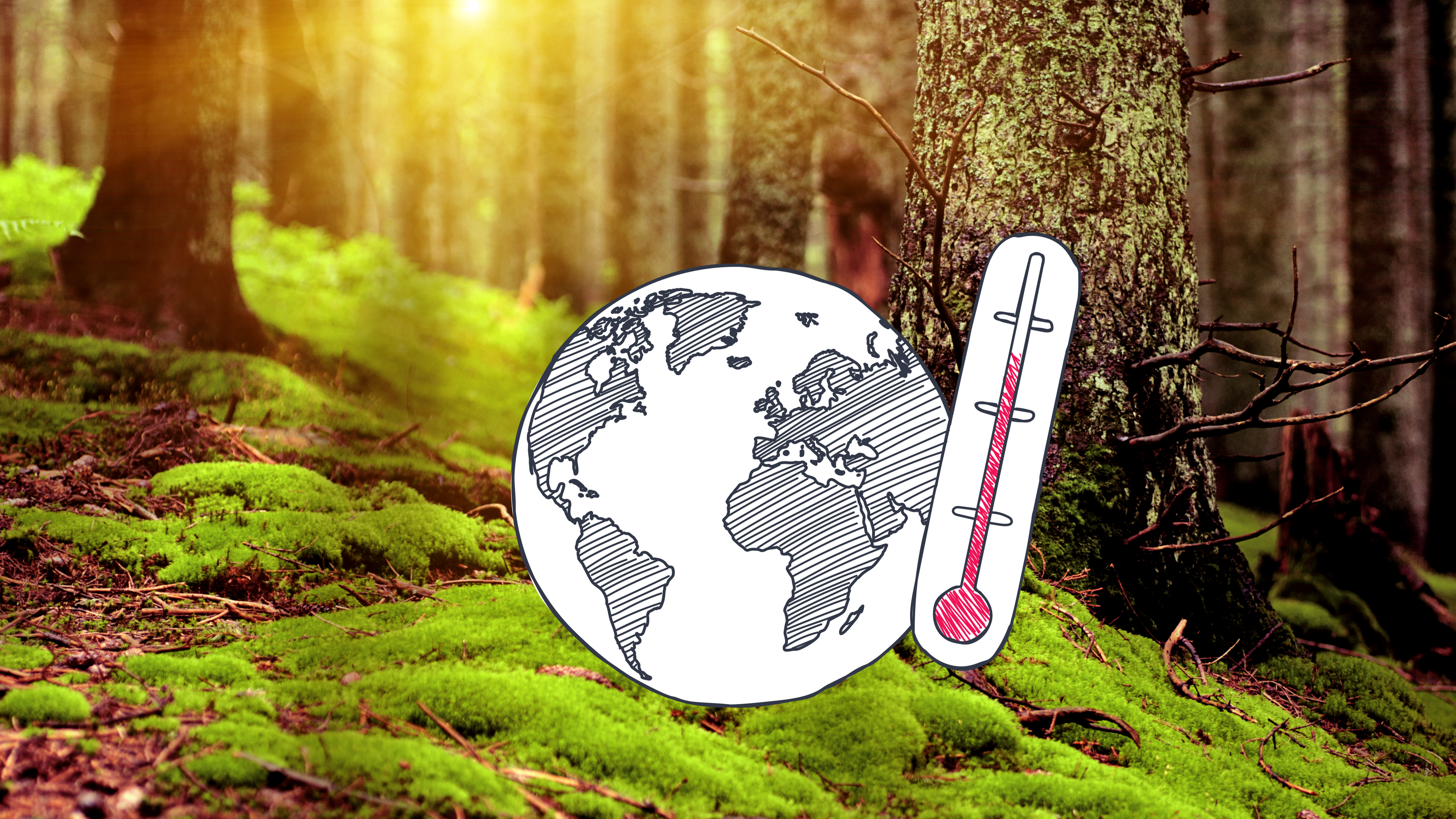 Im Hintrgrund ist ein Wald zu sehen, die Sonne scheint durch die Bäume. Im Vordergrund eine grafische Darstellung eines Globus und eines Thermometers. 