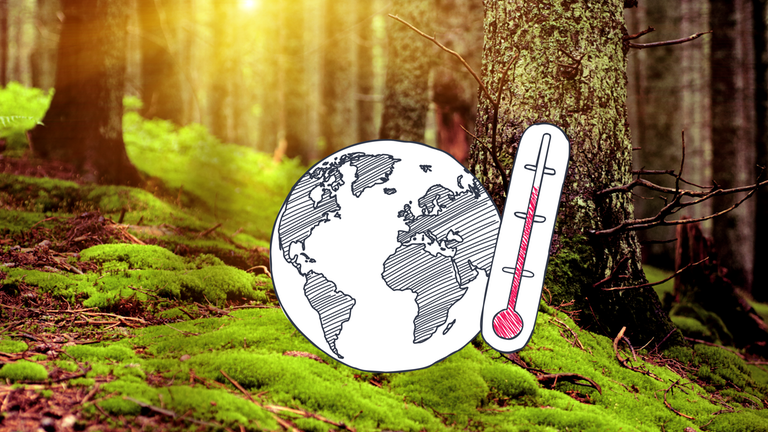 Im Hintrgrund ist ein Wald zu sehen, die Sonne scheint durch die Bäume. Im Vordergrund eine grafische Darstellung eines Globus und eines Thermometers. 