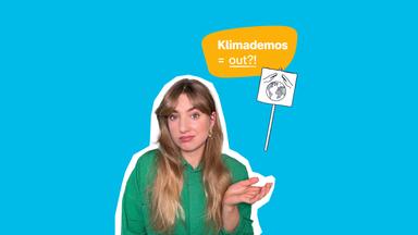 Vorschaubild Klimademos