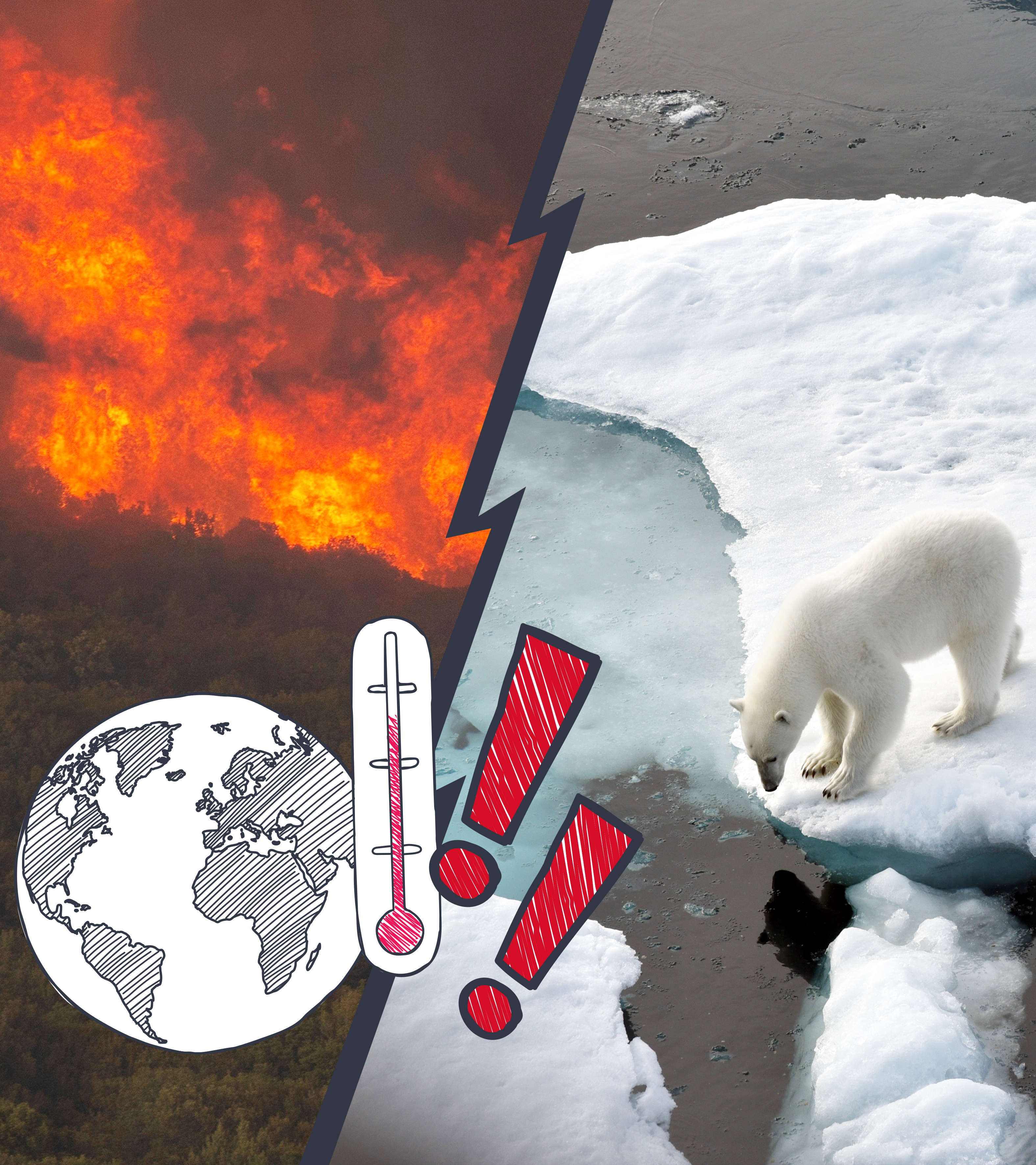 Eisbär, Waldbrand und Dürre