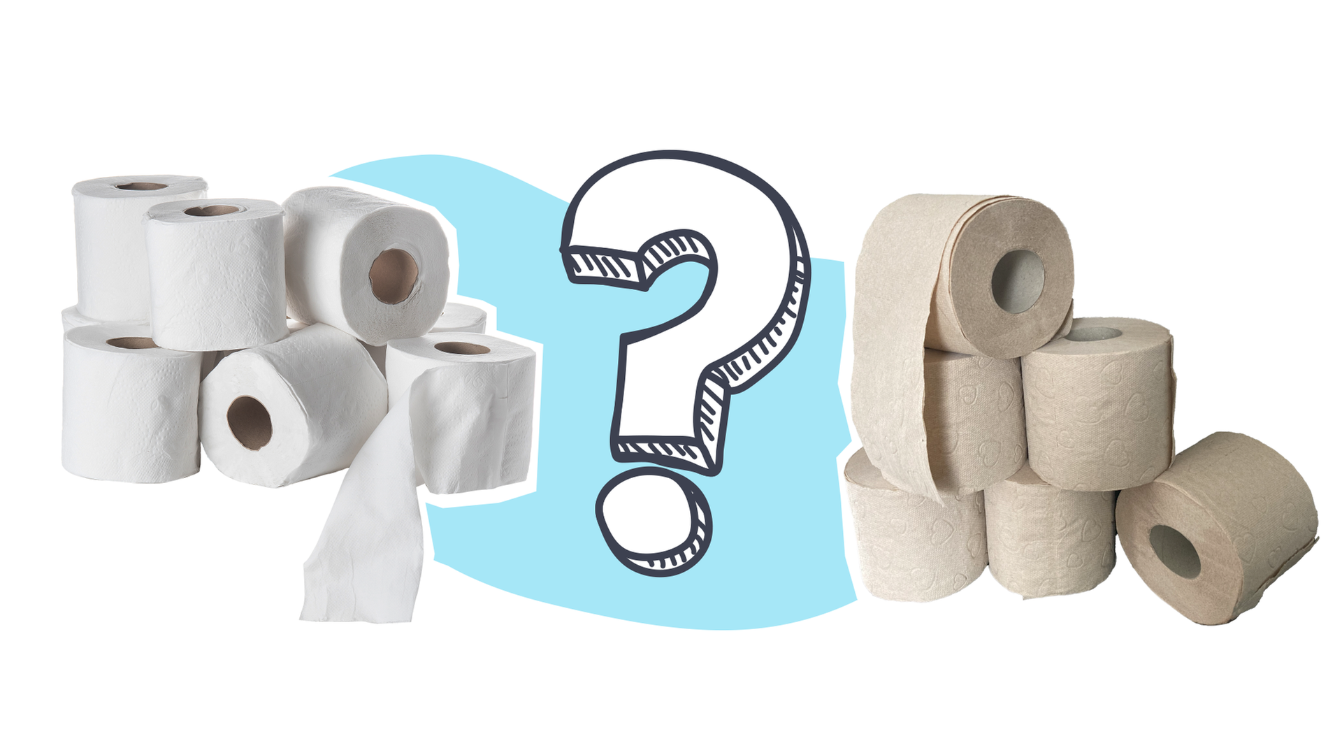 Fakten über weisses und feuchtes Klopapier