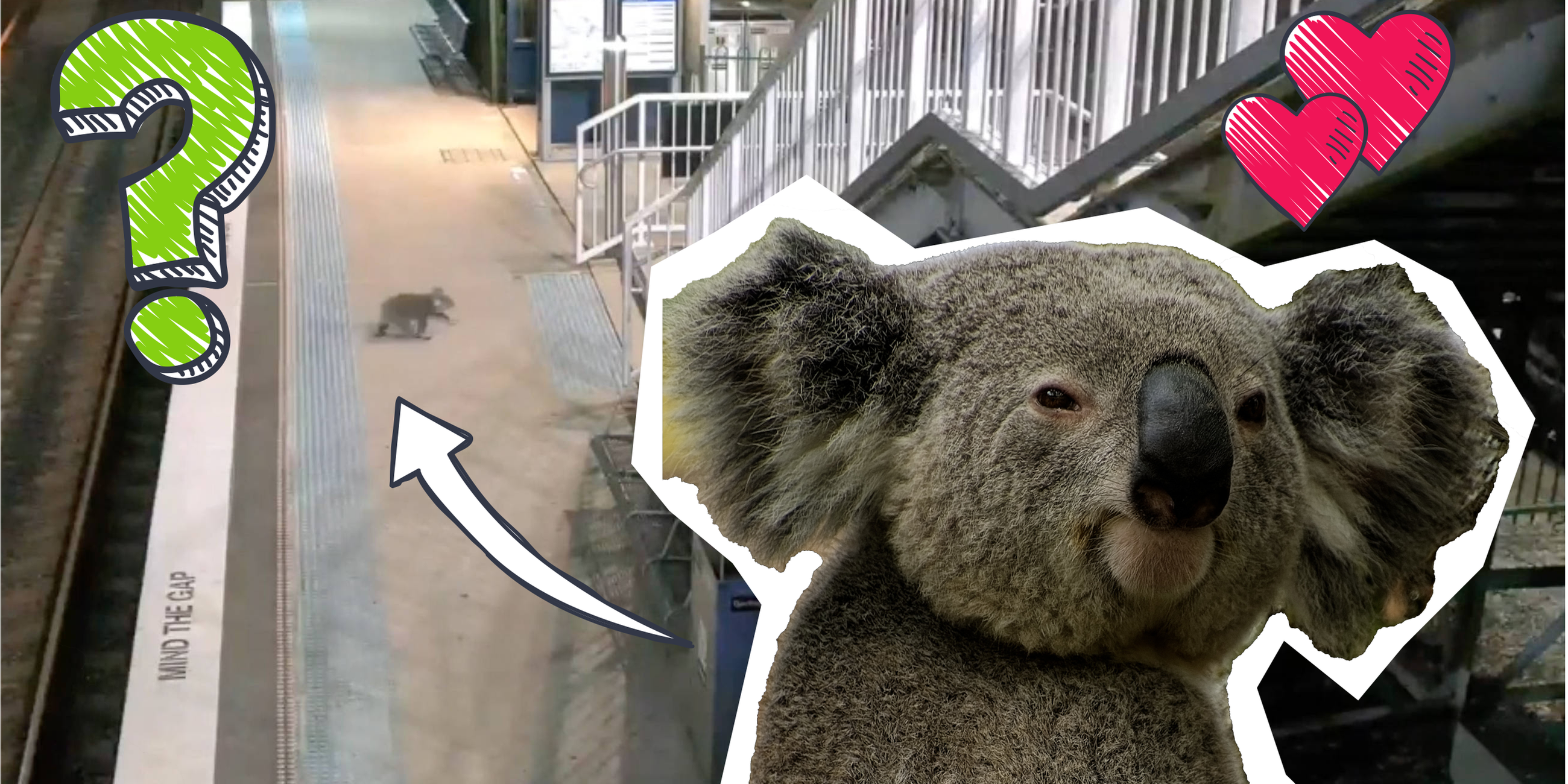 Koala Bahnhof