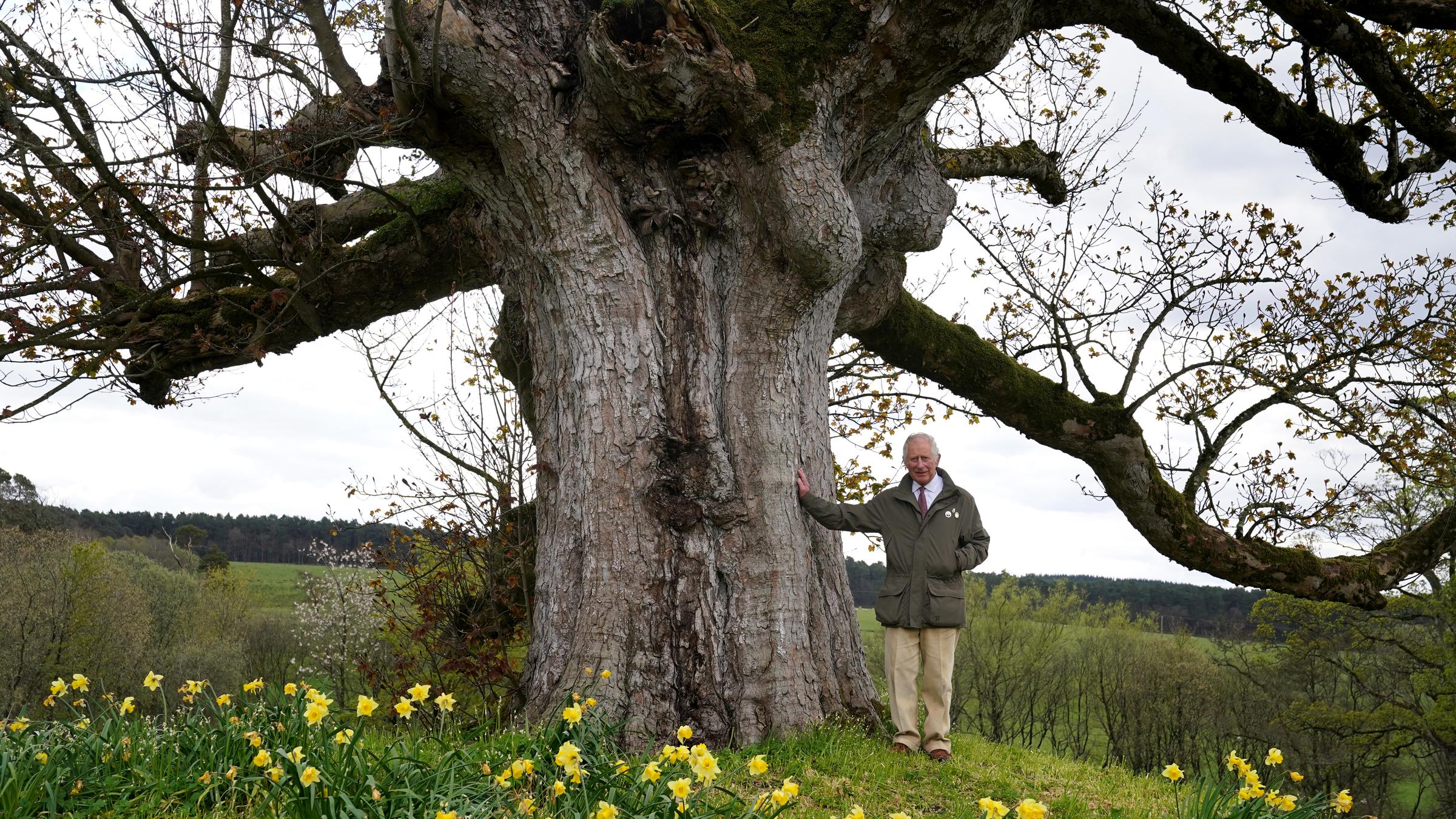 Charles III. im Garten von Dumfries House