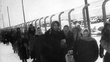 Überlebende im Konzentrationslager in Auschwitz