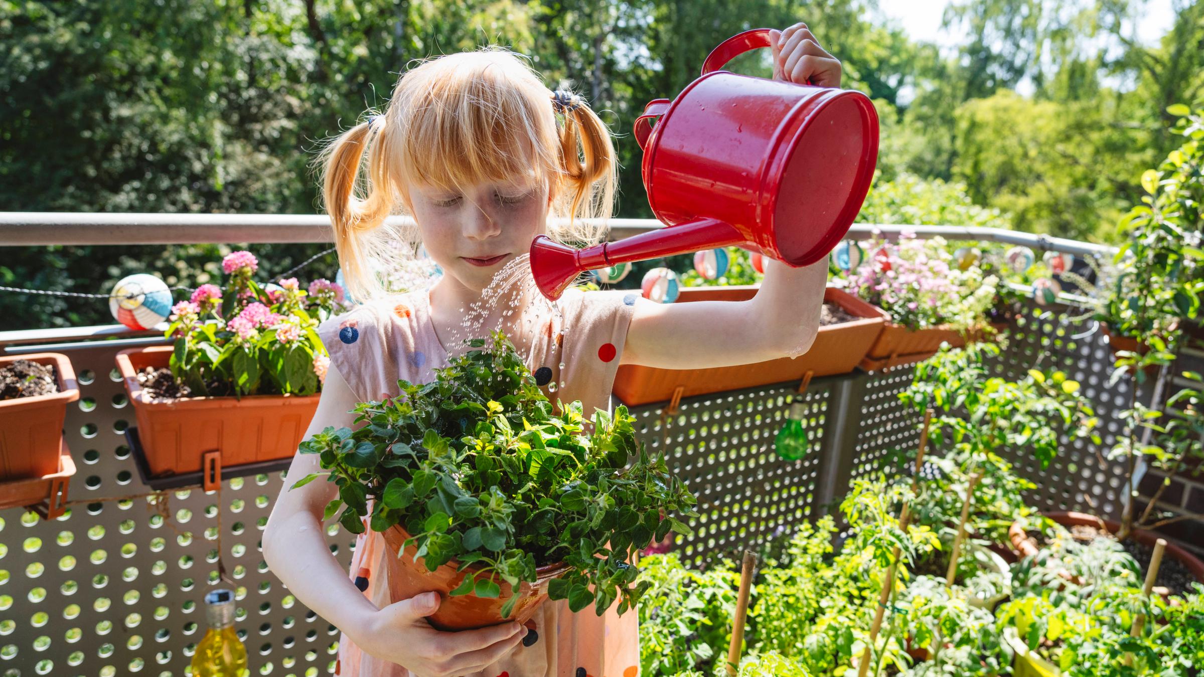 Mädchen gießt Kräuter