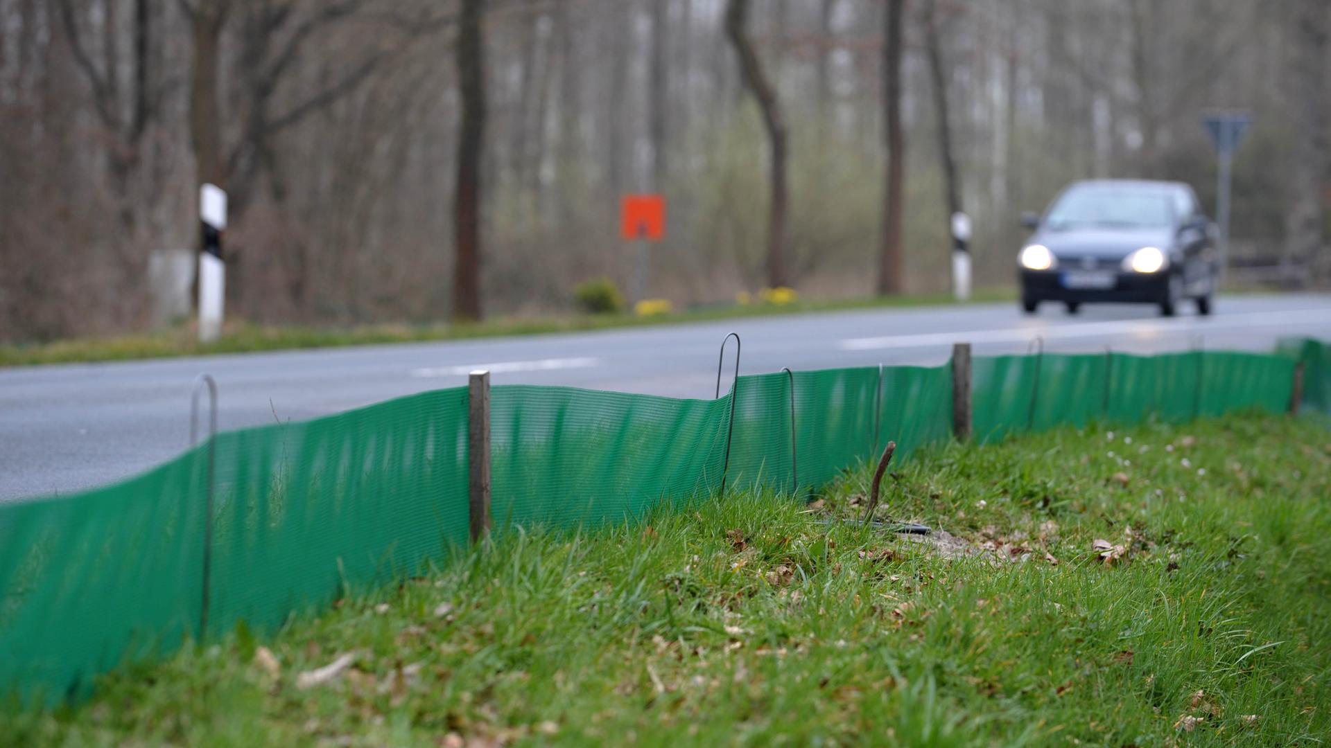 Schutzzaun für Kröten an einer Straße