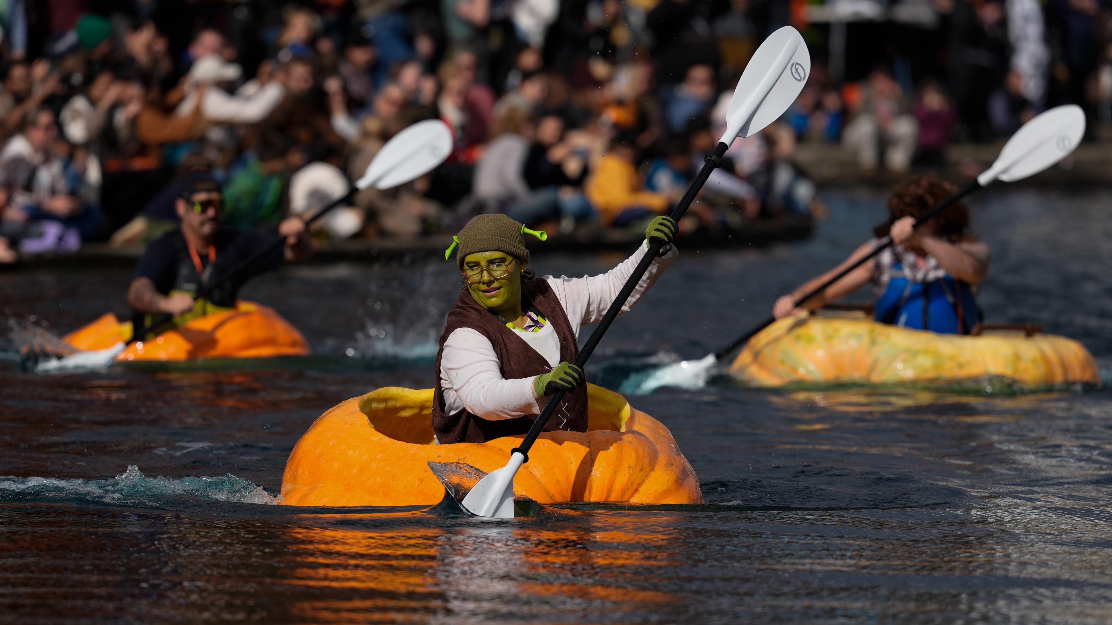 Verkleidete Menschen treten bei der West Coast Giant Pumpkin Regatte in riesigen Kürbissen gegeneinander an. 