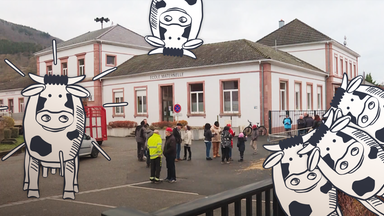 Montage: Ein kleines Schulgebäude, davor fünf gezeichnete Kühe