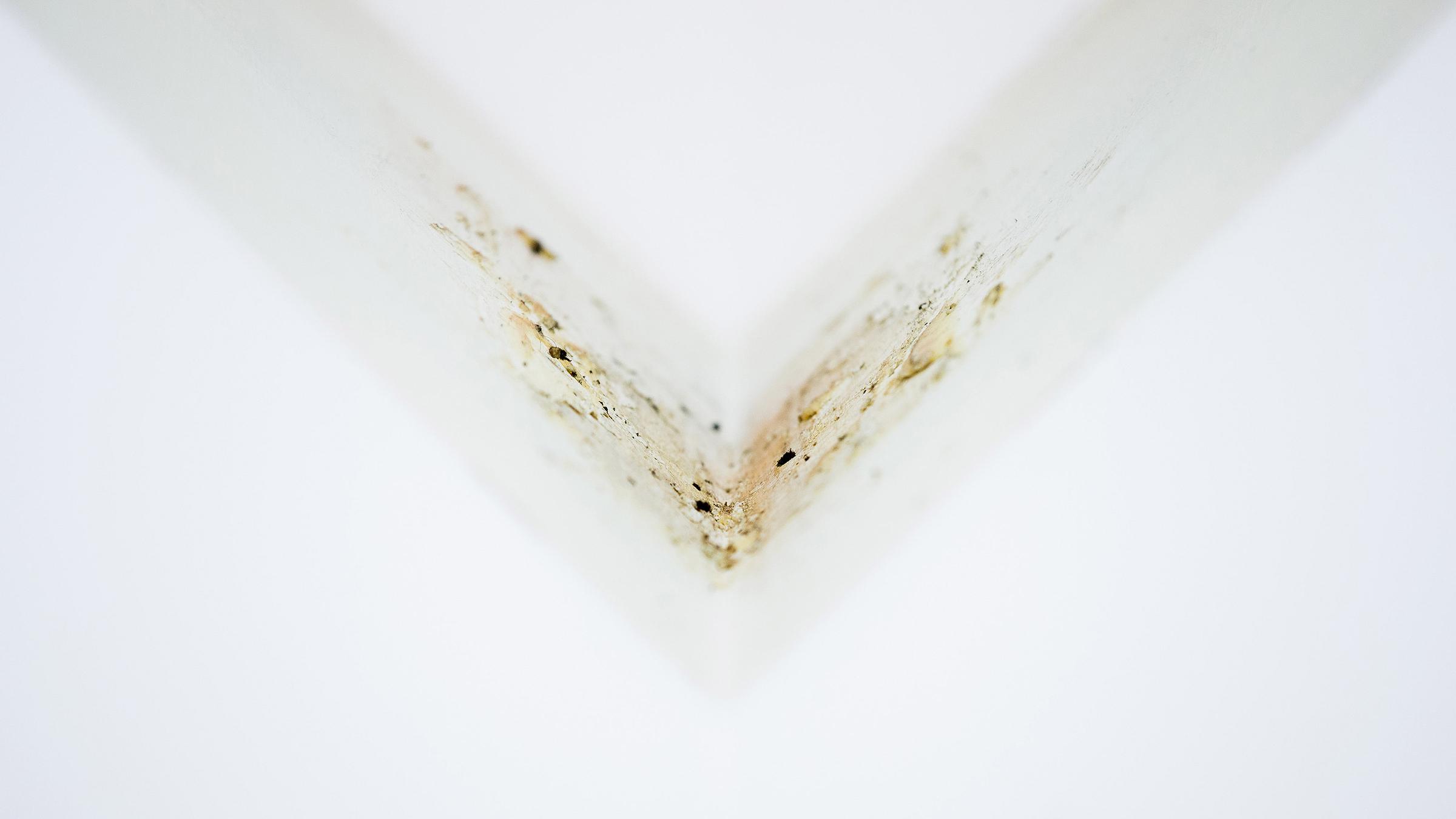 Spuren der zerstörten Fettecke von Joseph Beuys