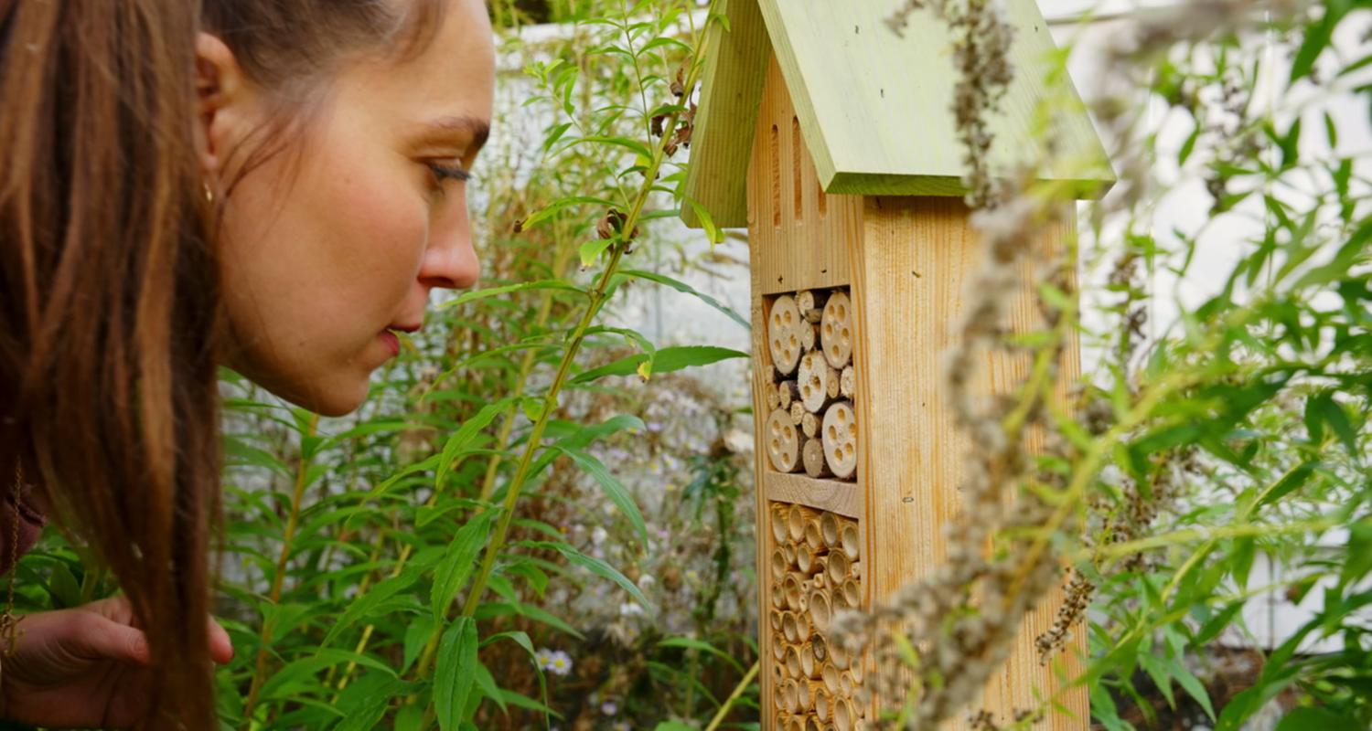 Insektenhotel