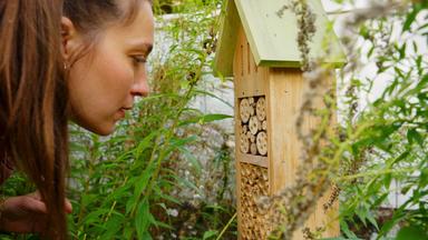 Insektenhotel