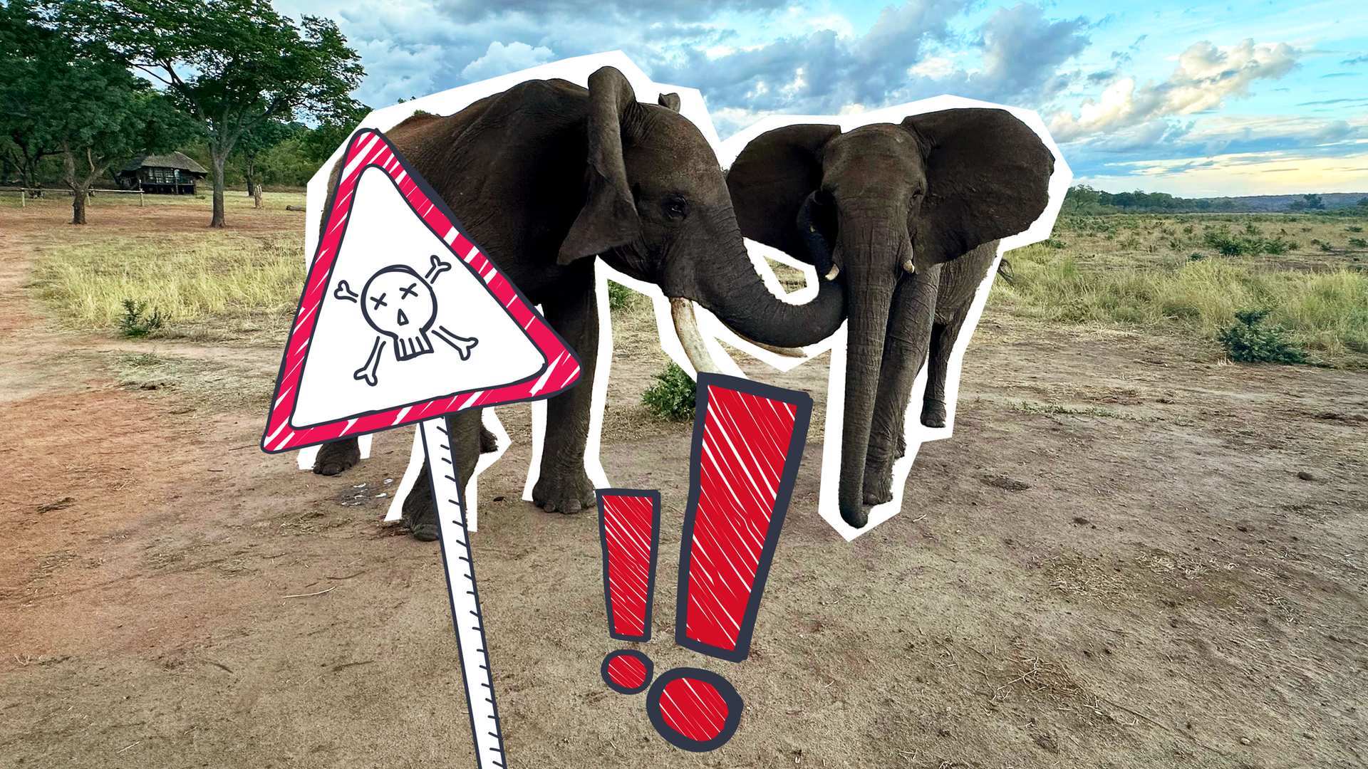 Zwei Elefanten begrüßen sich