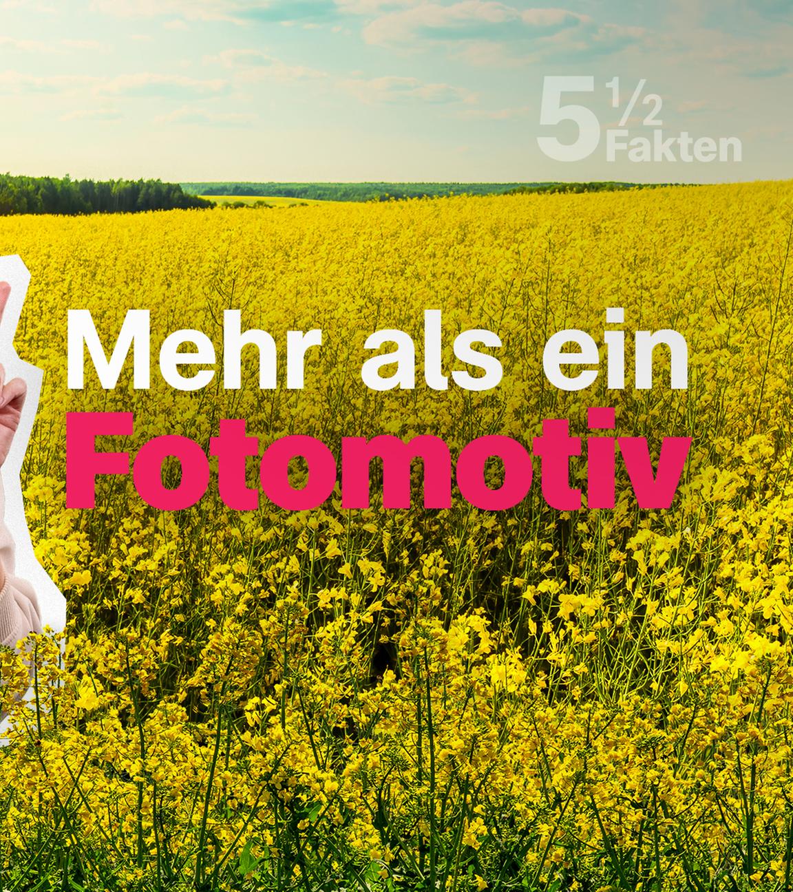 Landwirtschaft Fakten