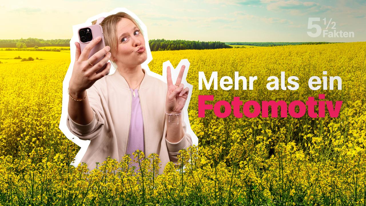 Bild für 5½ Fakten über Landwirtschaft