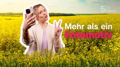 Bild des Herkunftsvideos in der ZDF Mediathek