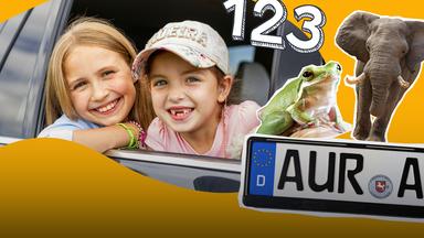Spiele für lange Autofahrten