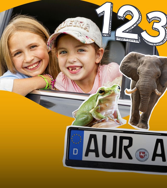 Spiele für lange Autofahrten