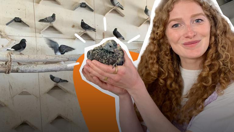 Lara hält eine Taube in der Hand, hinter ihr ein orangener Hintergrund und ein Foto von einem Taubenschlag.